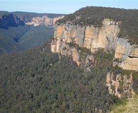 Country Charmâ„¢ Discovery Tours - Restaurant Gold Coast 4