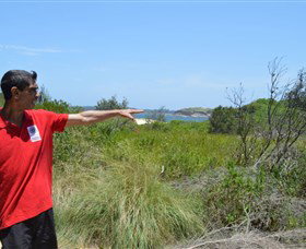 Kadoo Tours - Restaurant Gold Coast 0