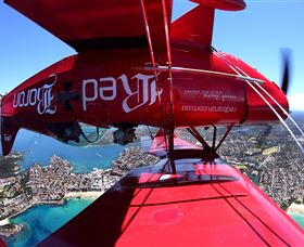 Red Baron Adventure Flights - Restaurant Gold Coast 1