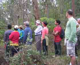 Boronia Tours - Restaurant Gold Coast 0