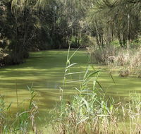 Second Ponds Creek walk - Restaurant Gold Coast