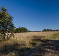 Scheyville horse riding trails - Restaurant Gold Coast