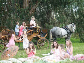 Classic Carriage Drives - Restaurant Gold Coast 1