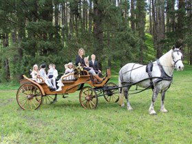 Classic Carriage Drives - Restaurant Gold Coast 0
