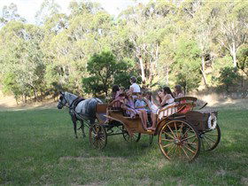 Classic Carriage Drives - Restaurant Gold Coast 3