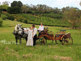 Classic Carriage Drives - Restaurant Gold Coast 2