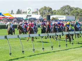 Morphettville Racecourse - Restaurant Gold Coast 0