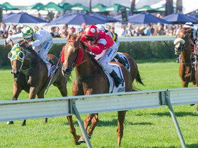 Morphettville Racecourse - Restaurant Gold Coast 2