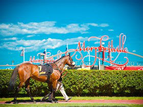 Morphettville Racecourse - Restaurant Gold Coast 3
