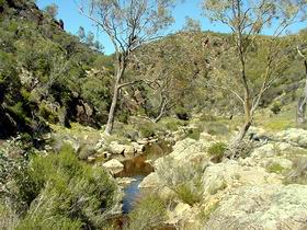 Saunders Gorge Sanctuary - Restaurant Gold Coast 1