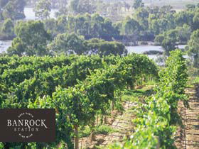 Banrock Station Wine And Wetland Centre - Restaurant Gold Coast 0