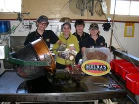 Melba's Chocolate And Confectionery Factory - Restaurant Gold Coast 1