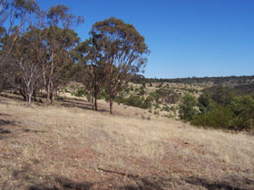 Onkaparinga River National Park - Restaurant Gold Coast 0
