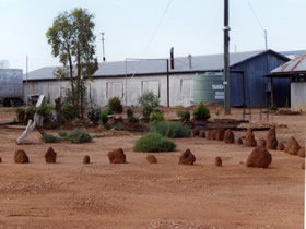 Kooroorinya Falls Nature Reserve - Restaurant Gold Coast 0