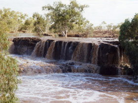 Kooroorinya Falls Nature Reserve - Restaurant Gold Coast 2