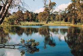 Echunga Golf Club Incorporated - Restaurant Gold Coast 1