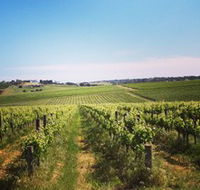 Adelaide Winemakers - Restaurant Gold Coast