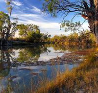 Murray River National Park - Restaurant Gold Coast