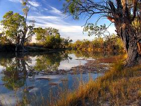 Murray River National Park - Restaurant Gold Coast 0