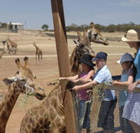 Monarto Open Range Zoo - Restaurant Gold Coast