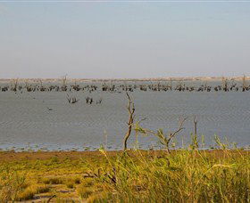 Lake Victoria - Restaurant Gold Coast 0