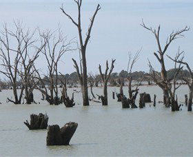Lake Victoria - Restaurant Gold Coast 4