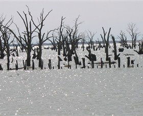 Lake Victoria - Restaurant Gold Coast 5