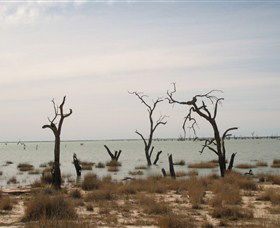 Lake Victoria - Restaurant Gold Coast 7