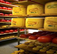 Alexandrina Cheese Company - Restaurant Gold Coast