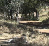 Chudleigh Park Gem Fields - Restaurant Gold Coast