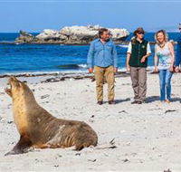 Seal Bay Conservation Park - Restaurant Gold Coast