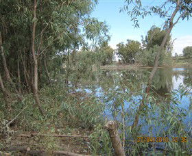 Thegoa Lagoon And Reserve - Restaurant Gold Coast 1