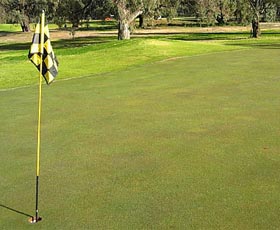 Wentworth Sporting Complex - Restaurant Gold Coast 0