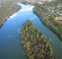 Sturt's Tree - Restaurant Gold Coast