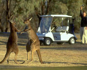 Coomealla Golf Club - Restaurant Gold Coast 2