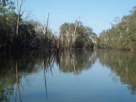 Charleville - 18 Mile Warrego River Fishing - Restaurant Gold Coast 1