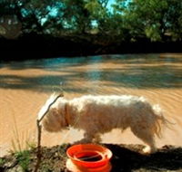 Charleville - 27 Mile Warrego River Fishing Spot - Restaurant Gold Coast