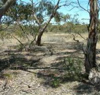 Tintinara Walking Trail - Restaurant Gold Coast