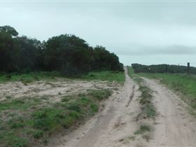 Messent Conservation Park - Restaurant Gold Coast 1