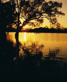 Hattah-Kulkyne National Park - Restaurant Gold Coast 0