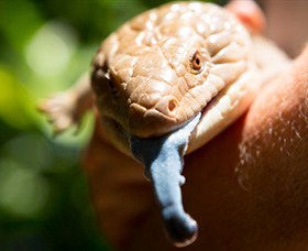 Territory Wildlife Park - Restaurant Gold Coast 5