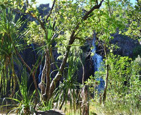 Manngarre Rainforest Walk - Restaurant Gold Coast 1