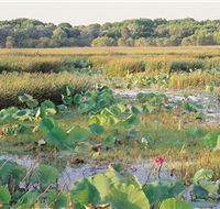 Fogg Dam Conservation Reserve - Restaurant Gold Coast
