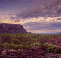 Nature's Way - Restaurant Gold Coast