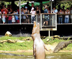 Crocodylus Park - Restaurant Gold Coast 0