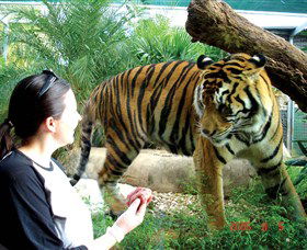 Crocodylus Park - Restaurant Gold Coast 2
