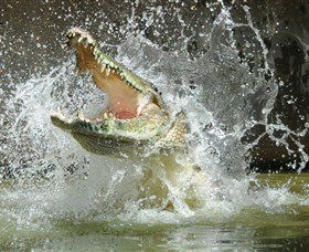 Crocodylus Park - Restaurant Gold Coast 5
