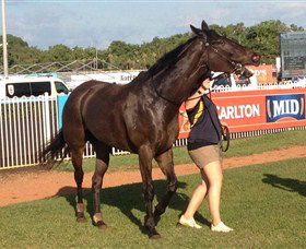 Darwin Turf Club - Restaurant Gold Coast 2