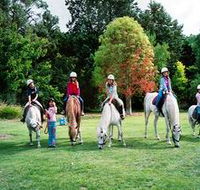 Limestone Coast Horseriding - Restaurant Gold Coast