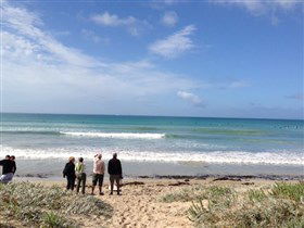 Beachport Surf Beach - Restaurant Gold Coast 2